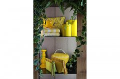 PEZZOTTO YELLOW